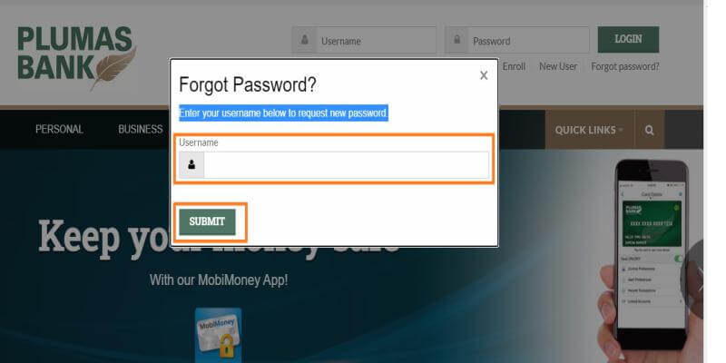 Reset Password Plumas Bank Online 2
